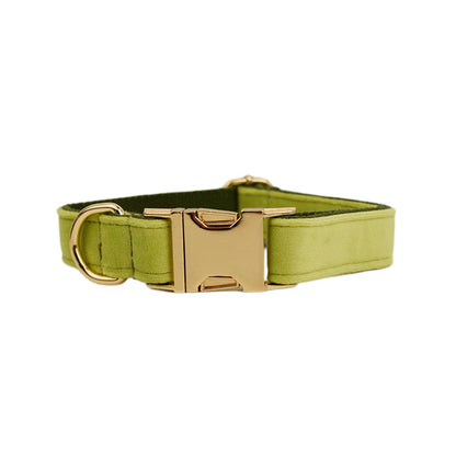 Velvet Collection Dog Collar with Custom Engraving