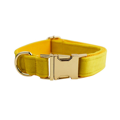 Velvet Collection Dog Collar with Custom Engraving